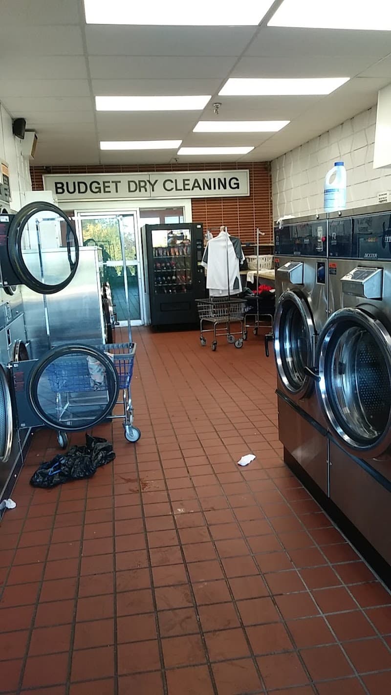 Fox Cleaners and Laundromat gallery image 6