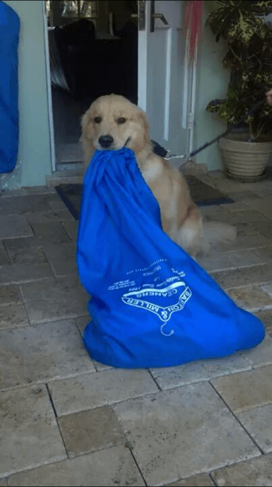 Barton & Miller Cleaners gallery image 3